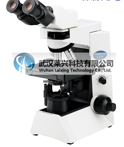 奥林巴斯CX41三目显微镜